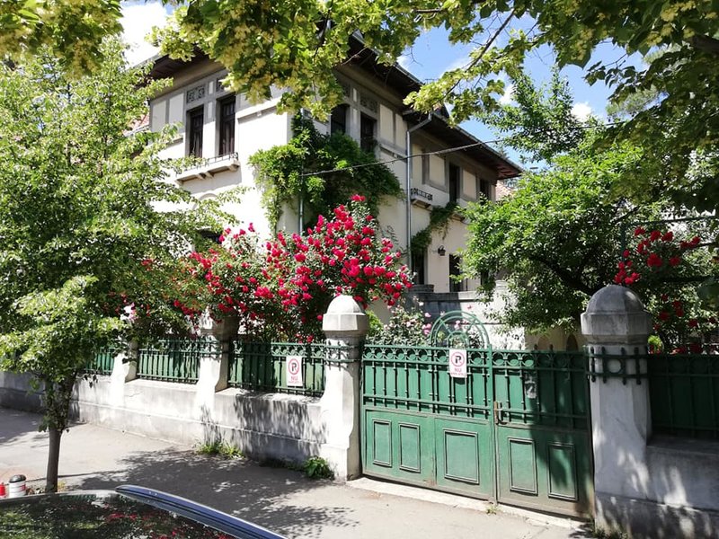 ANALESIA Kinderzentrum - Gradinita, After School